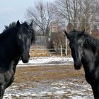 Hallo, auch wieder da???? Heute bischen spät.....