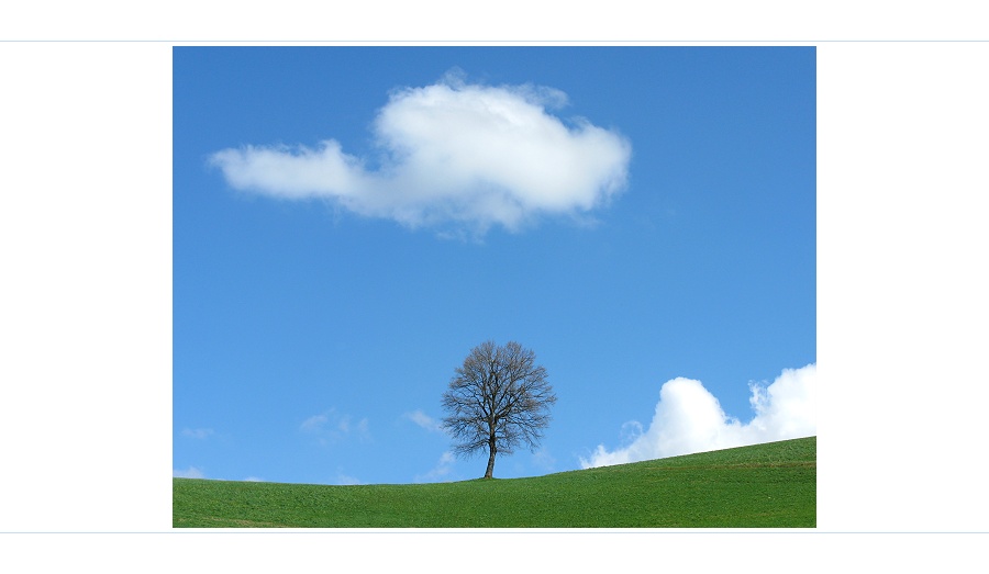 "Hallo Baum, wie gehts?" - "Gut liebe Wolke! Schick einzig etwas Regen damit der Frühling beginnt."