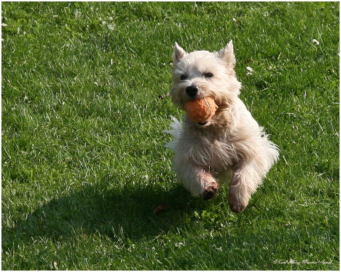 Hallo Charly08 komm doch mal rüber zum Spielen!