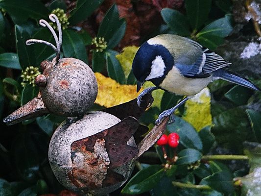 Hallo, das ist mein Revier