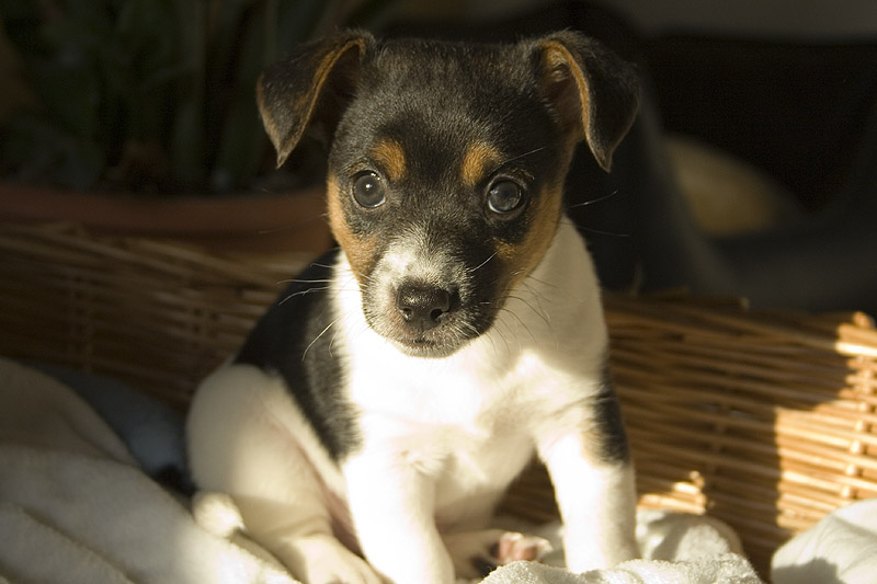 Hallo Du da!! Ich bin der MAX...