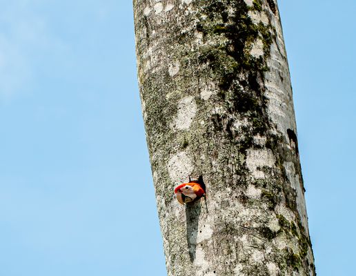 Hallo du da unten -                            DSC_0355