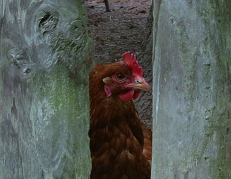 Hallo Erhard...hast du dich verlaufen ;-) ?