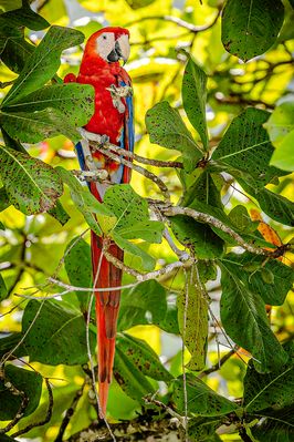 Hallo Fotograf,  da bist du wieder .