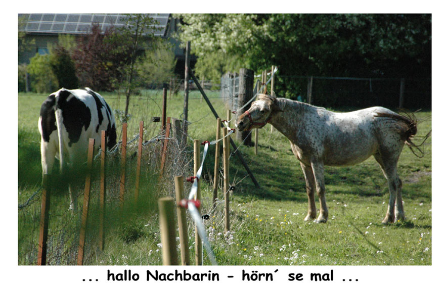 Hallo Frau Nachbarin....