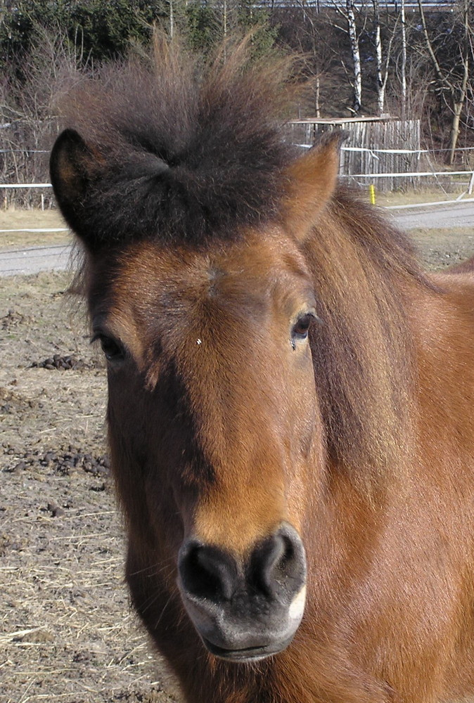 Hallo Frauchen!!!