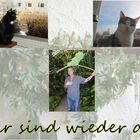 Hallo Freunde wir sind wieder da.