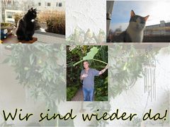 Hallo Freunde wir sind wieder da.