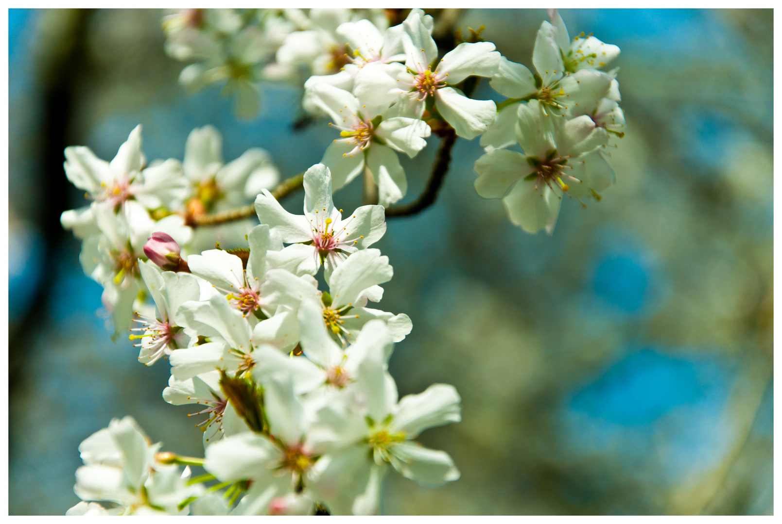 Hallo Frühling