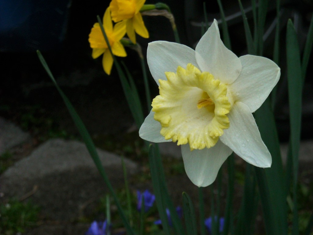 Hallo Frühling!