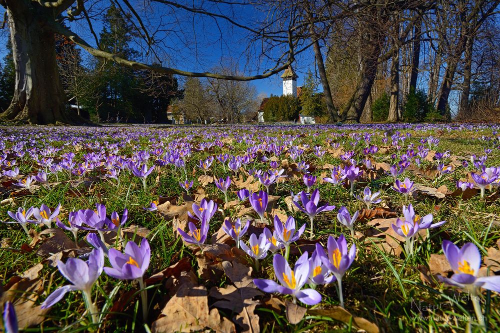 Hallo Frühling!