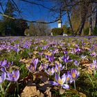 Hallo Frühling!