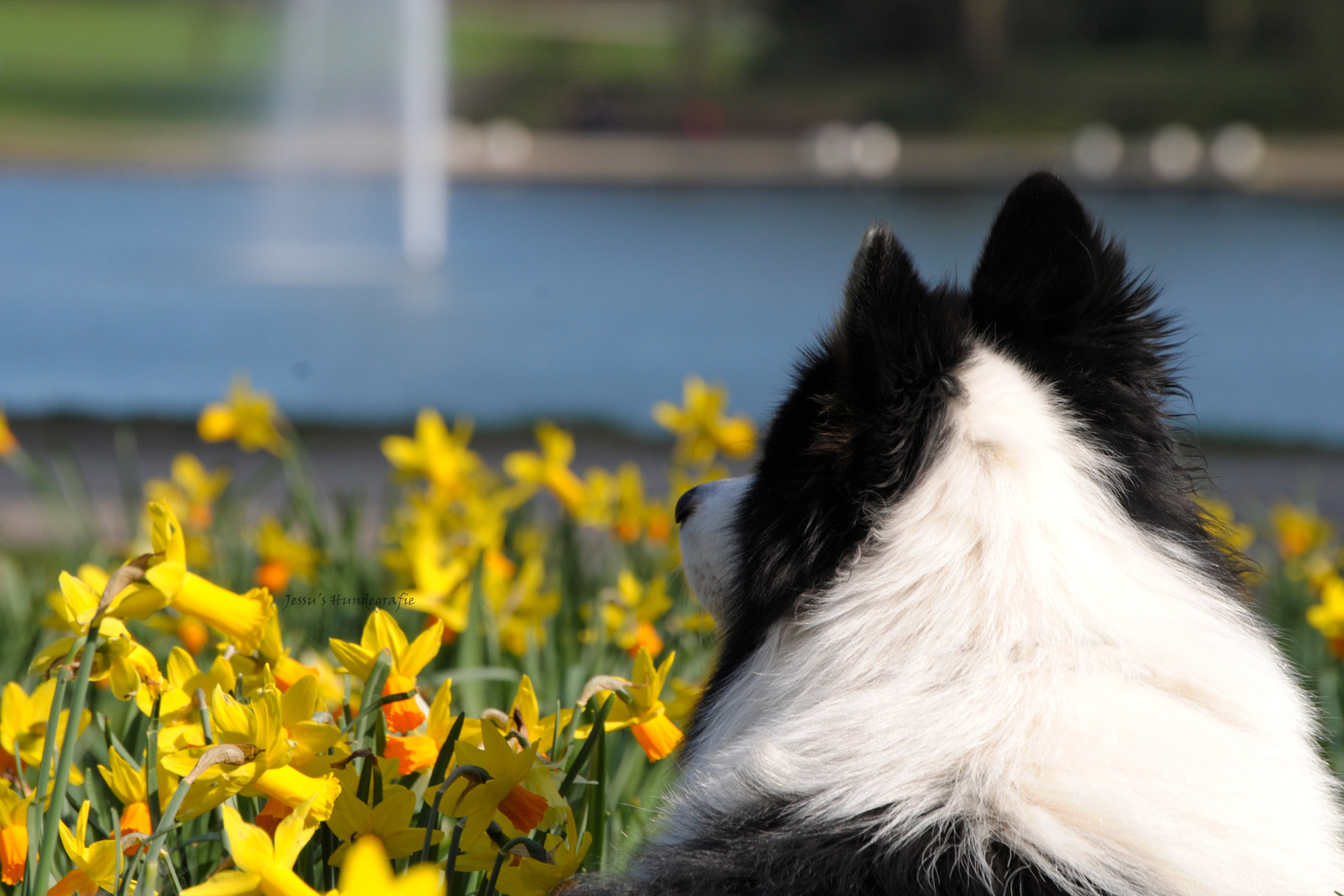 Hallo Frühling