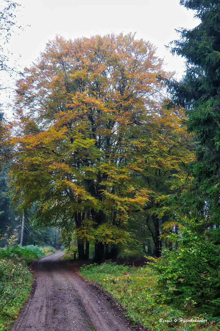 Hallo Herbst