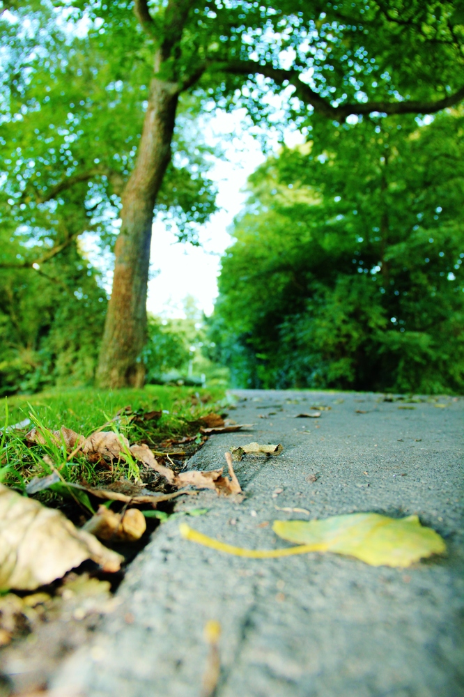 "Hallo Herbst"