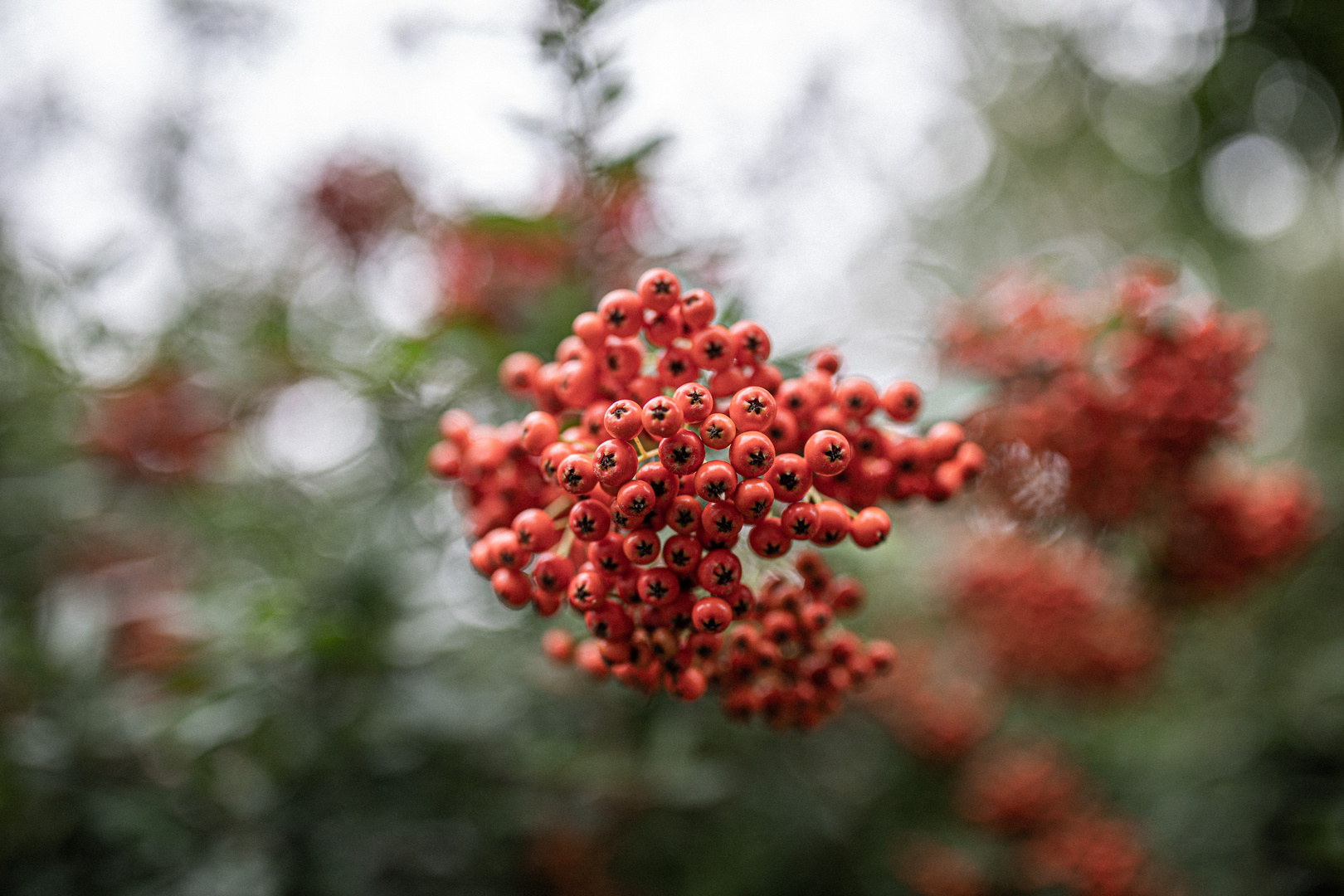 Hallo Herbst. 