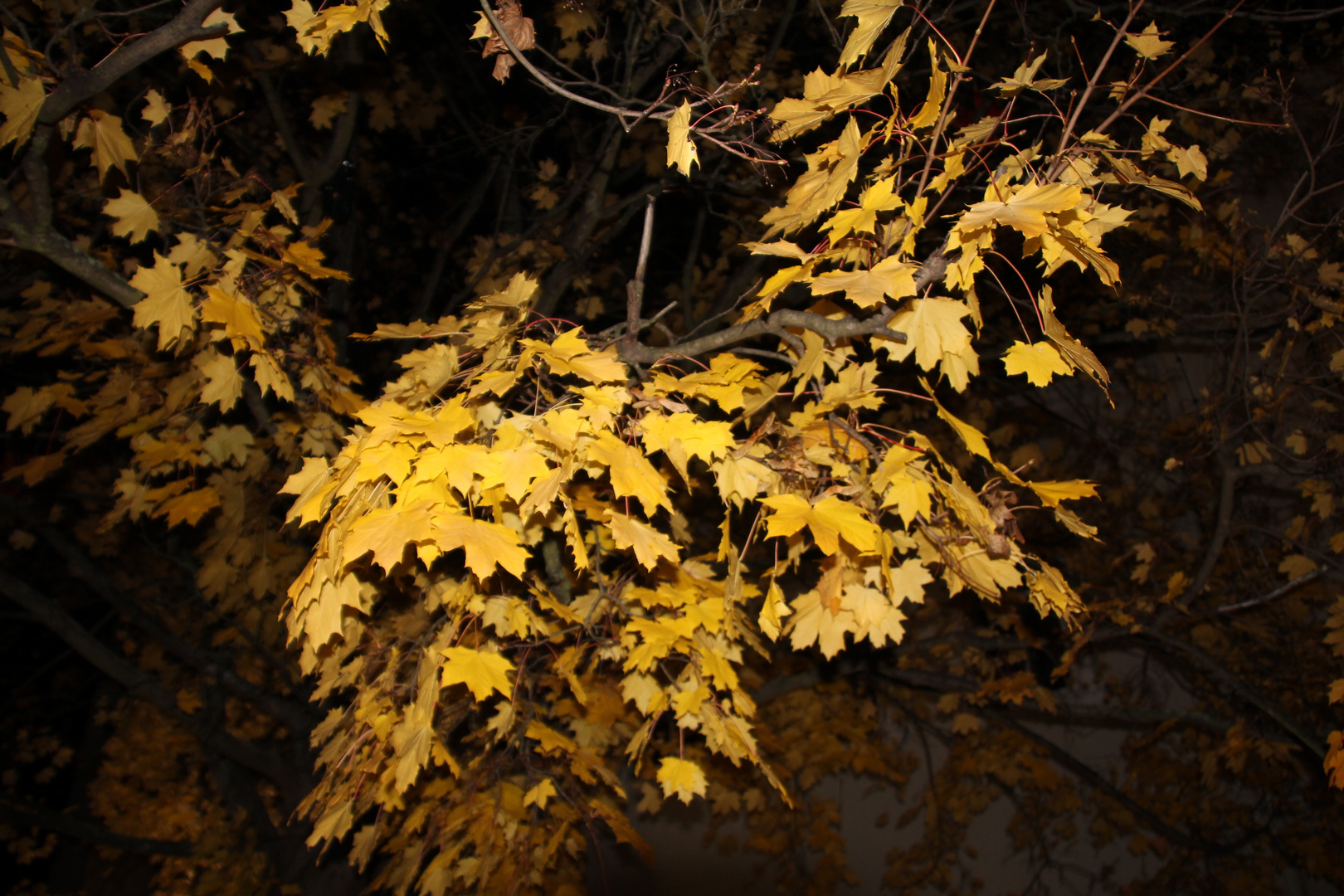 Hallo Herbst