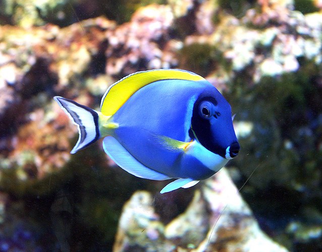 Hallo, ich bin Dorie...