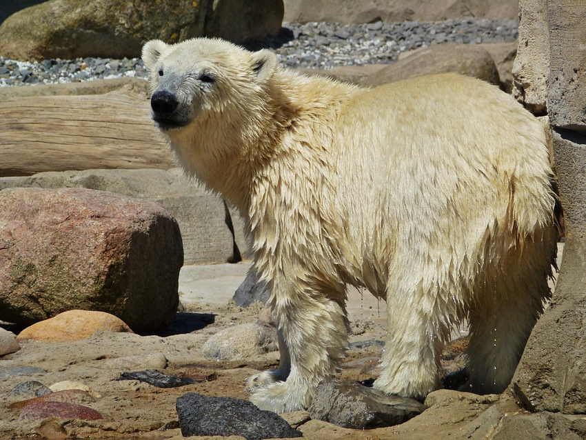 Hallo, ich bin Lale :-)