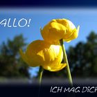 Hallo! Ich mag dich!