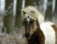 Hallo Isi Freunde!