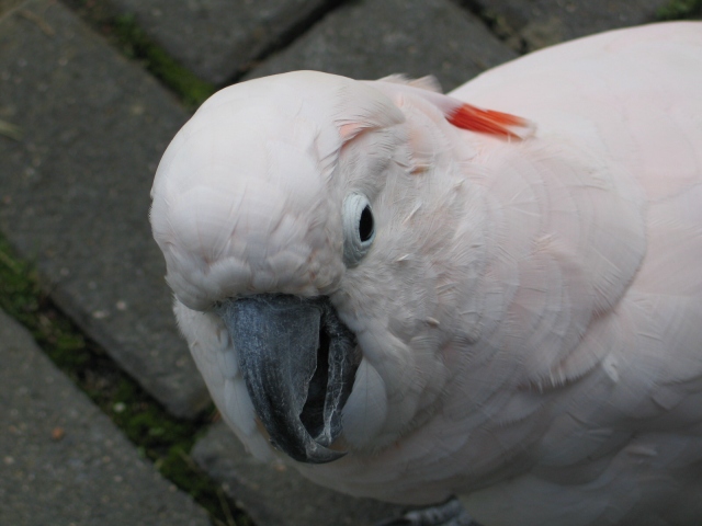 Hallo Mädels - heißes Pflaster hier!!