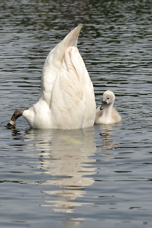 Hallo...? Mama...?