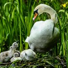 HALLO MAMA...( DER AUGENBLICK) 