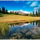      Hallo mein Freund Zappa-Peitler Koffer _ Dolomiten