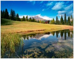      Hallo mein Freund Zappa-Peitler Koffer _ Dolomiten