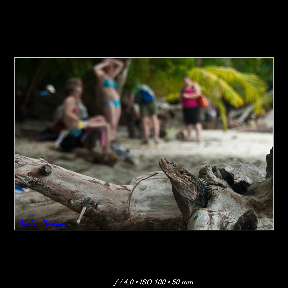 "Hallo Nachbar" Costa Rica