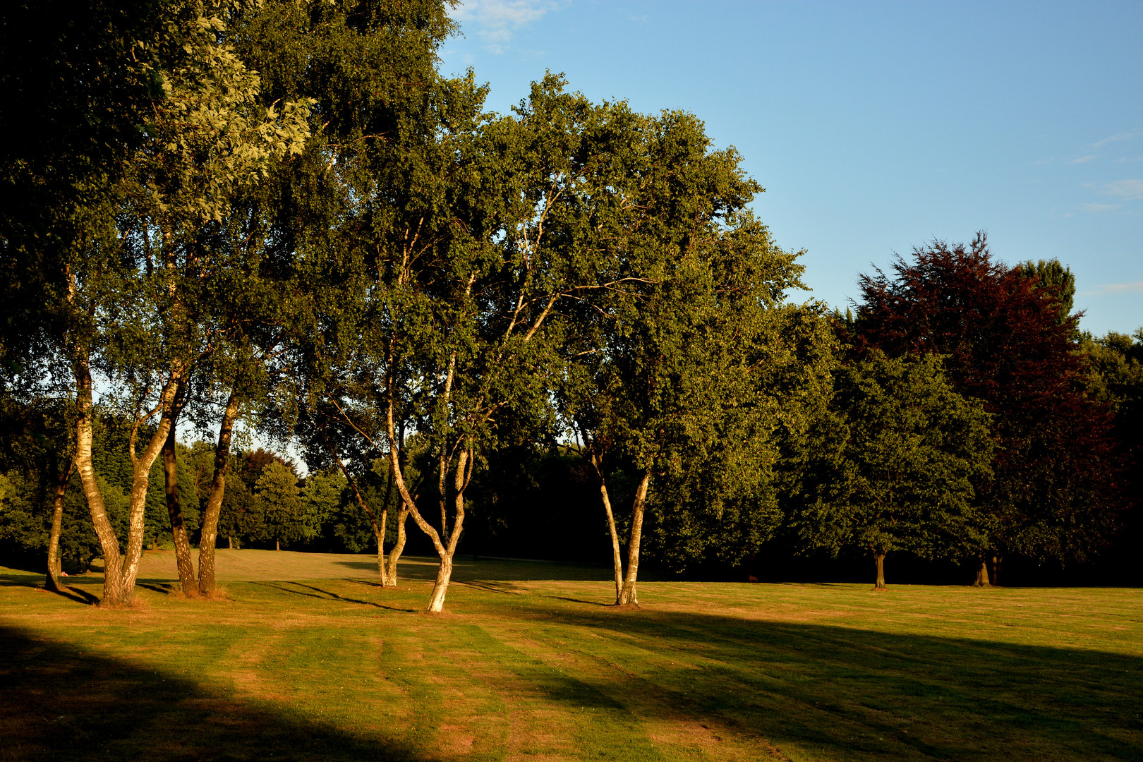 Hallo Park Essen