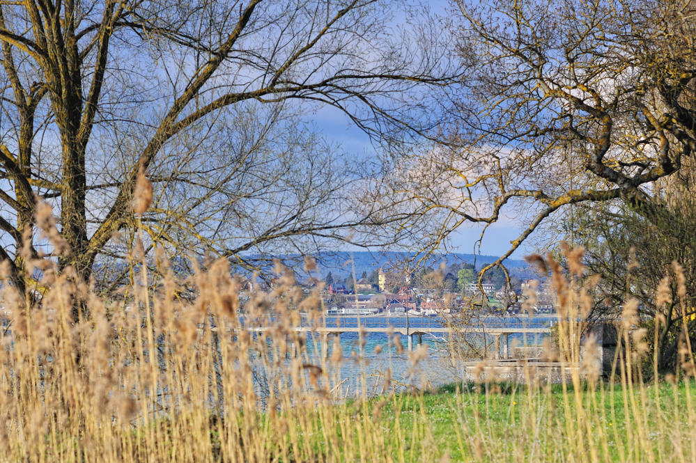 Hallo Reichenau