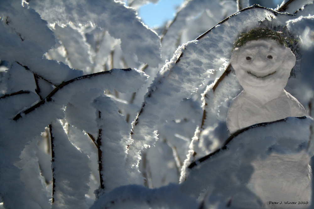 Hallo, sagt der Schneemann