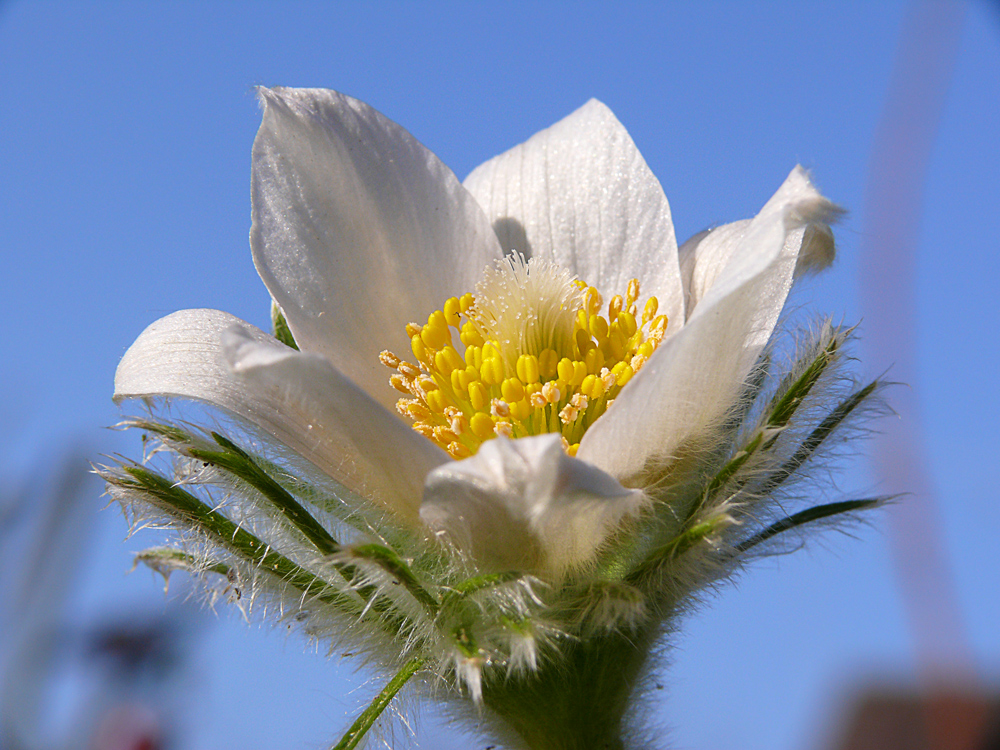 Hallo Sommer....zeit