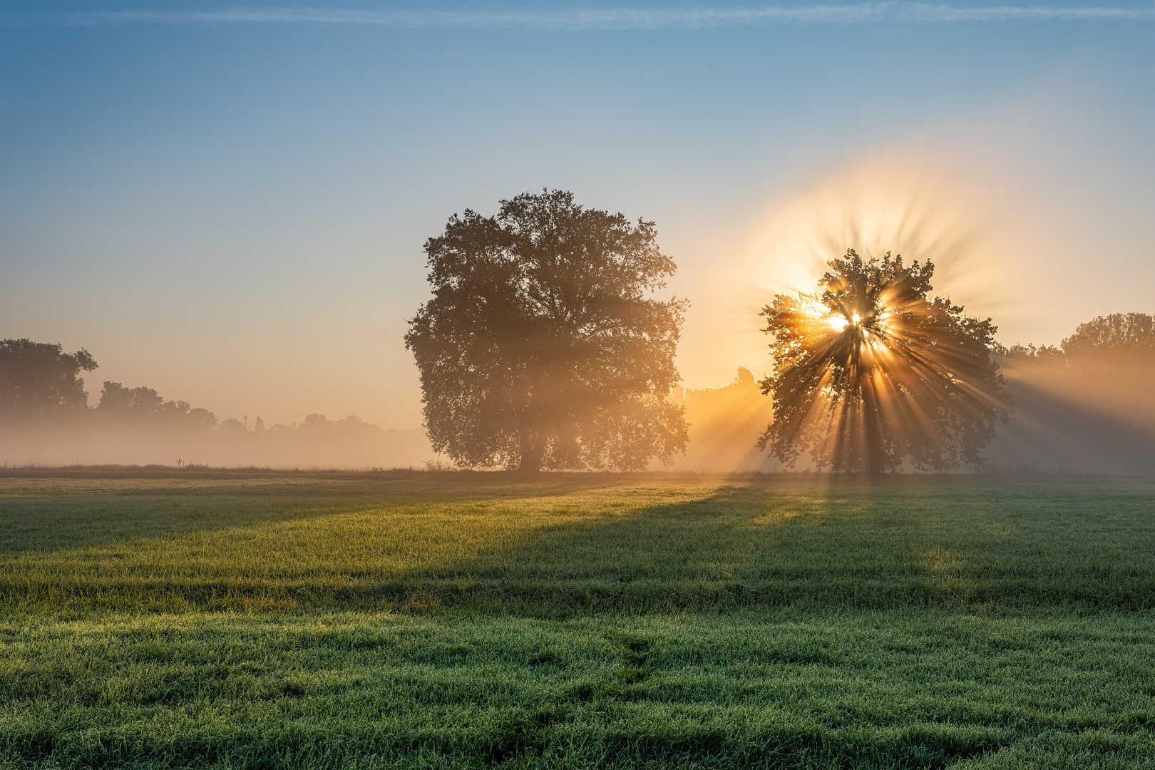 Hallo Sonntag!