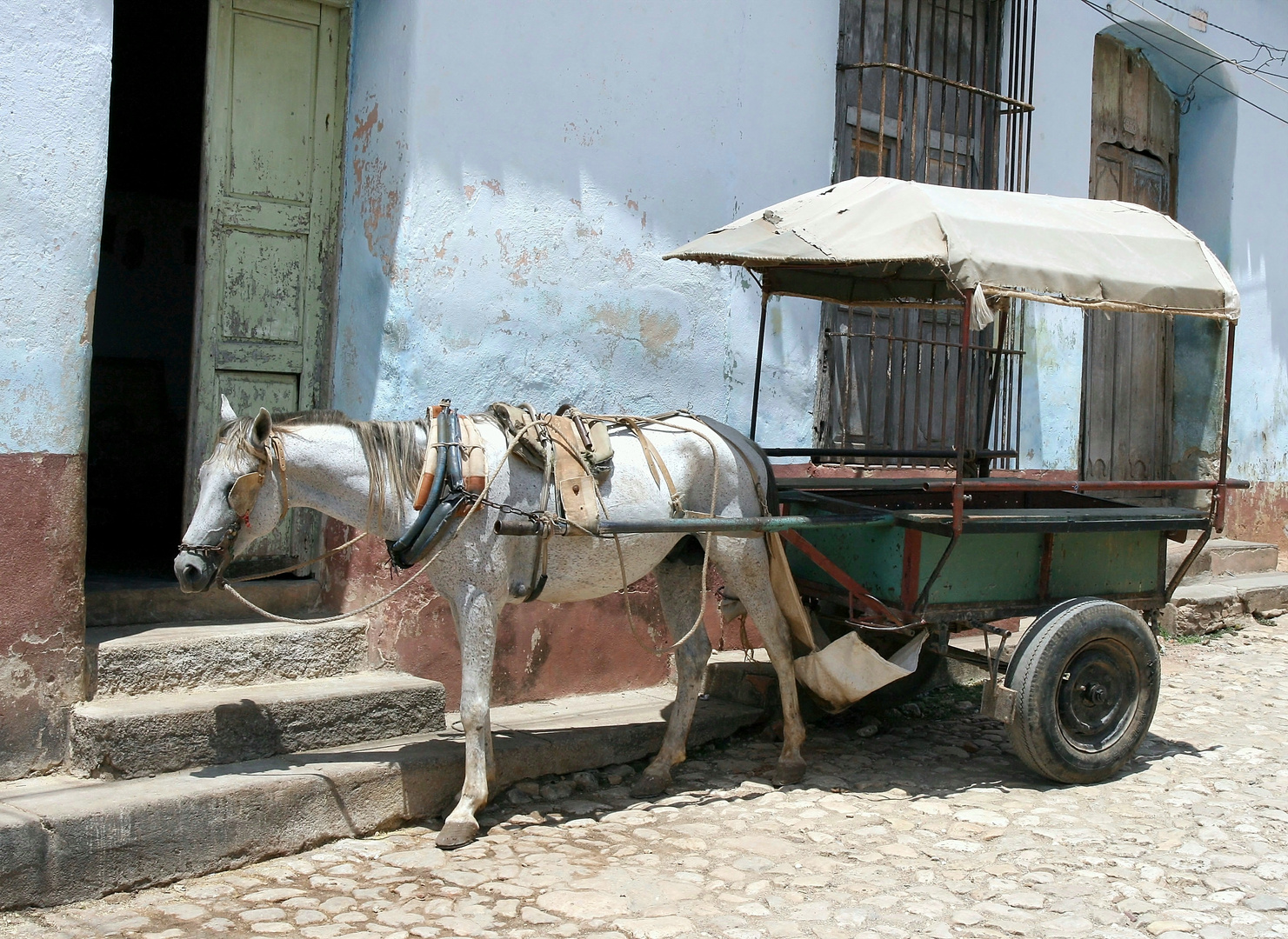 Hallo Taxi!