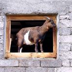 Hallo was läuft....