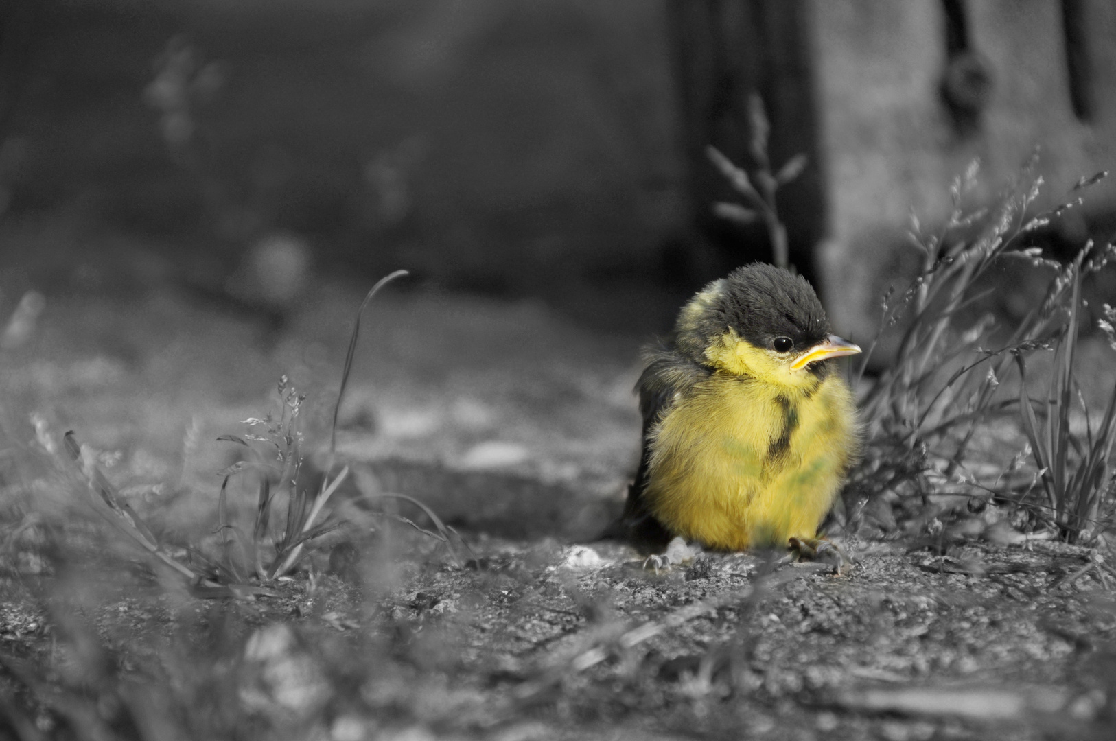 Hallo Welt - da bin ich!