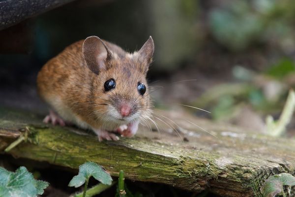 Hallo wer bist Du denn