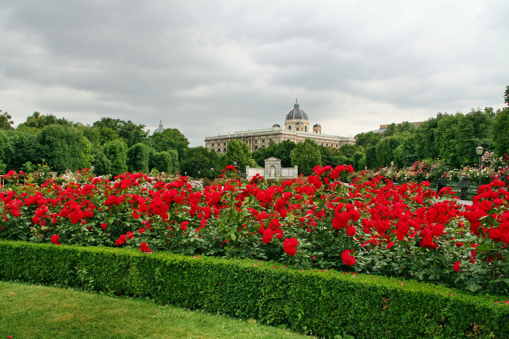 Hallo Wien