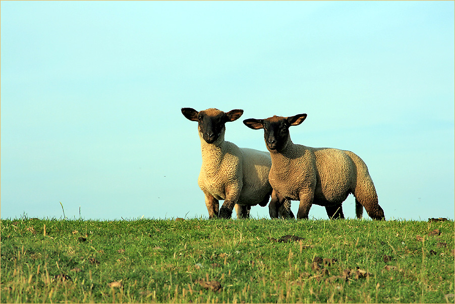 Hallo, wir bekommen Besuch!