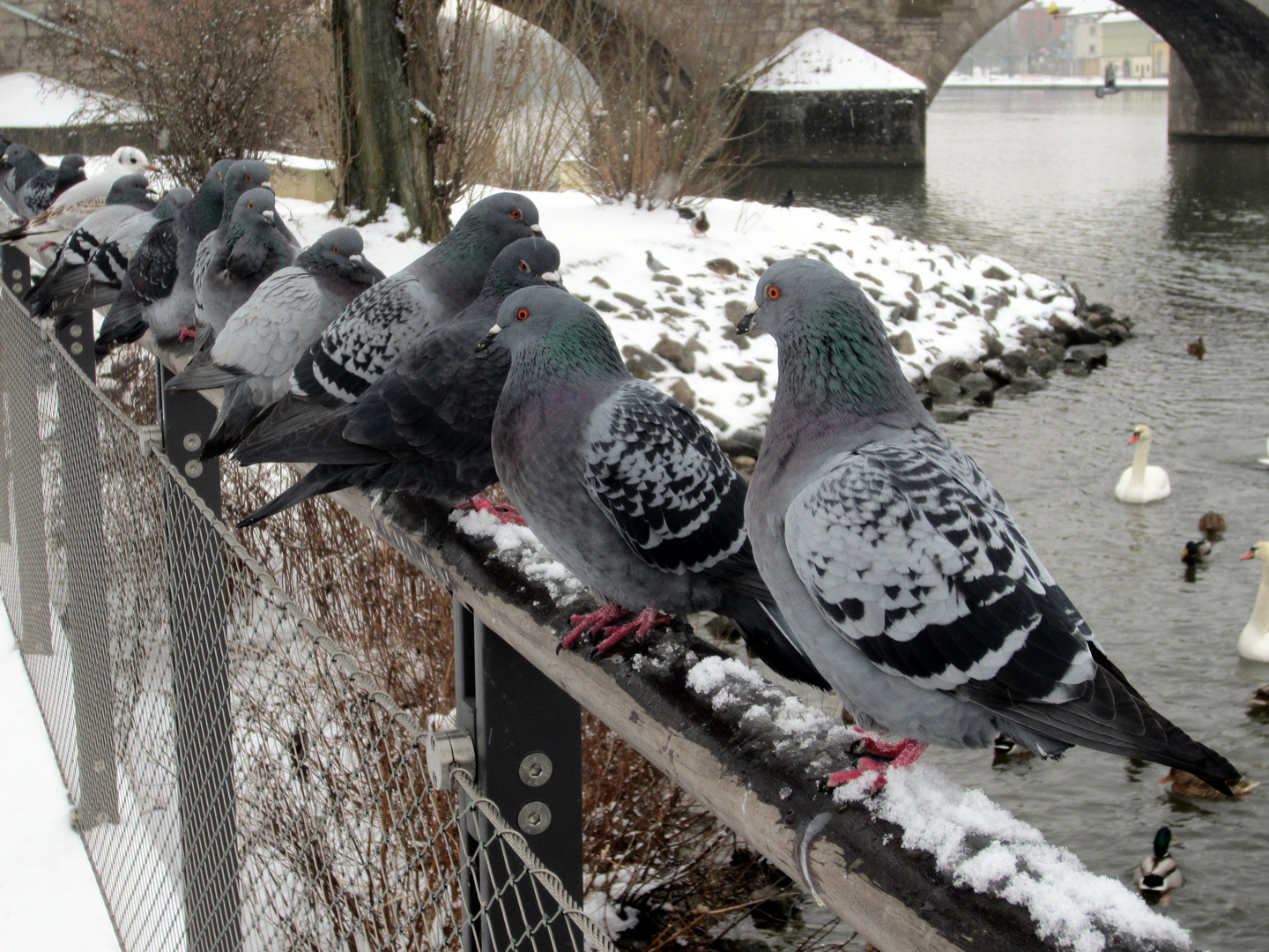 Hallo, wir haben Hunger