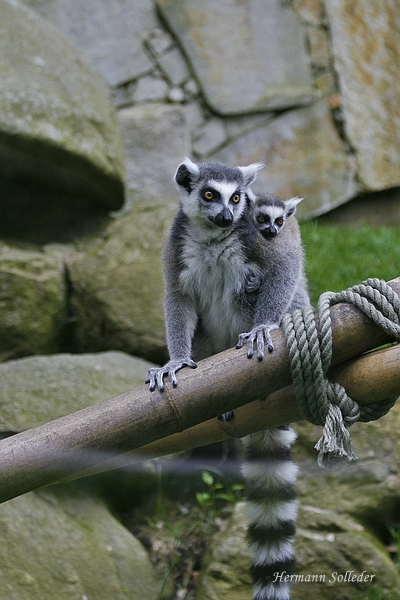 Hallo wir sind zu zweit