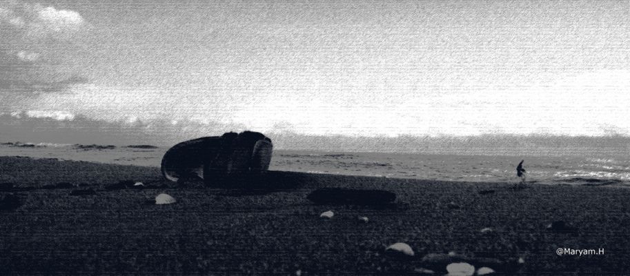 Halloa..Any Shoes By The Sea!