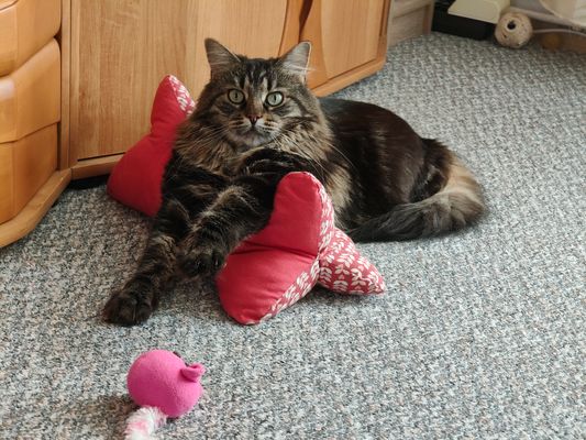 Hallo,da sind wir wieder !