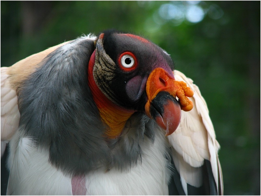 Hallöchen