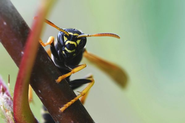 Hallöchen, wer bist du denn,...