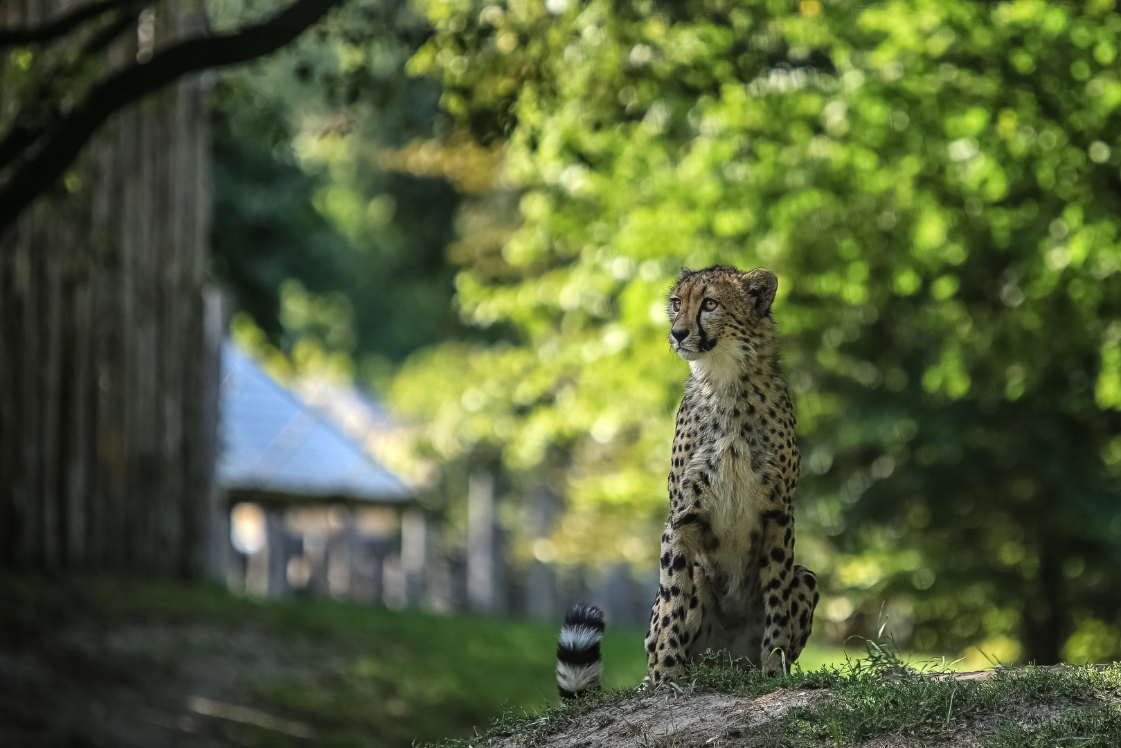 Halloooooo.. Foto & Bild art, spezial, outdoor Bilder auf