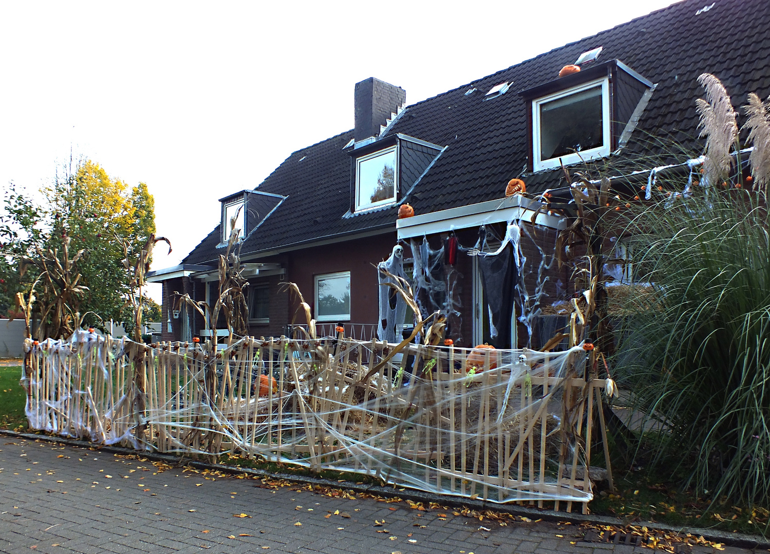 Halloween (2) Foto & Bild | streetfotografie ohne menschen